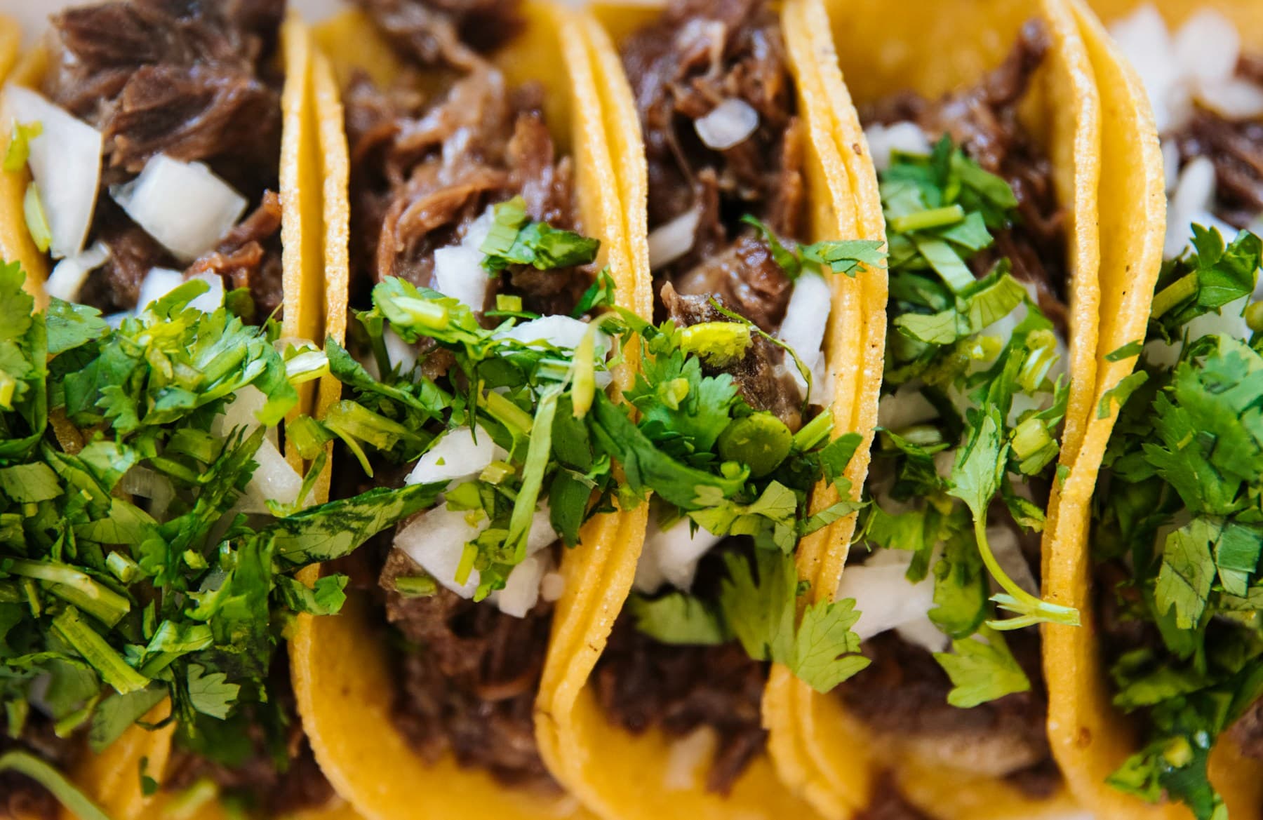Taco servido con cebolla y cilantro